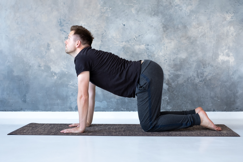 chiropractor in metairie - legacy chiro